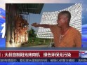 泰国：大叔自制阳光烤肉机  绿色环保无污染