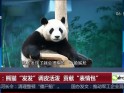 沈阳:熊猫